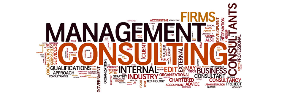 Management Consulting